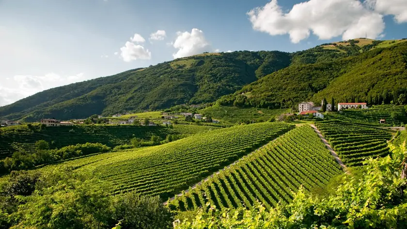 Le colline del prosecco