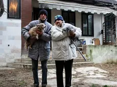 agenzia Candussi, giornalista Artico. nella foto i coniugi Paolo Zanon e Adriana Guerra nella loro abitazione in via Triestina 175 Tessera.