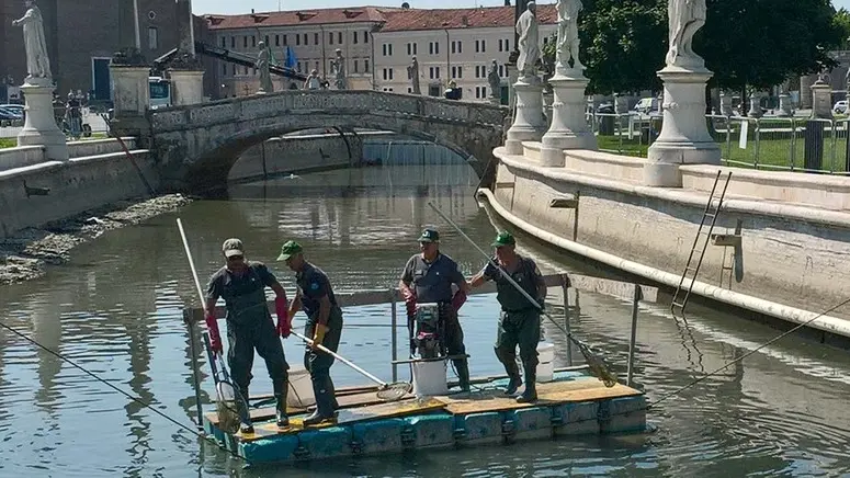 BARON - AGENZIA BIANCHI - PADOVA - RECUPERO PESCI CANALETTA PRATO DELLA VALLE