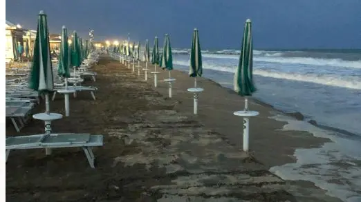 La zona della pineta di Jesolo