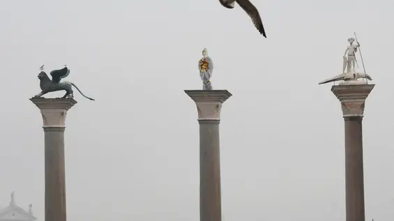 Interpress/M.Tagliapietra Venezia 08.12.2016.- Colonne Marco e Todaro