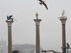 Interpress/M.Tagliapietra Venezia 08.12.2016.- Colonne Marco e Todaro
