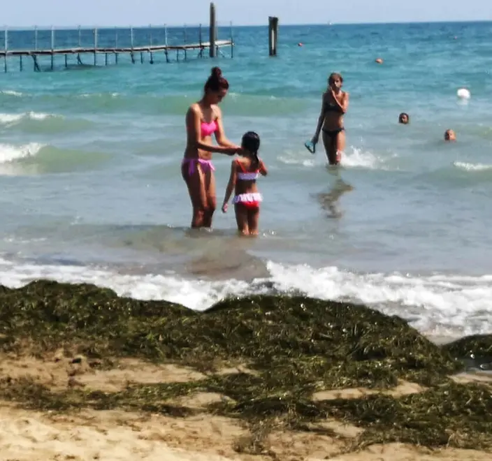 DE POLO - TOMMASELLA - JESOLO - ALGHE SULLA BATTIGIA