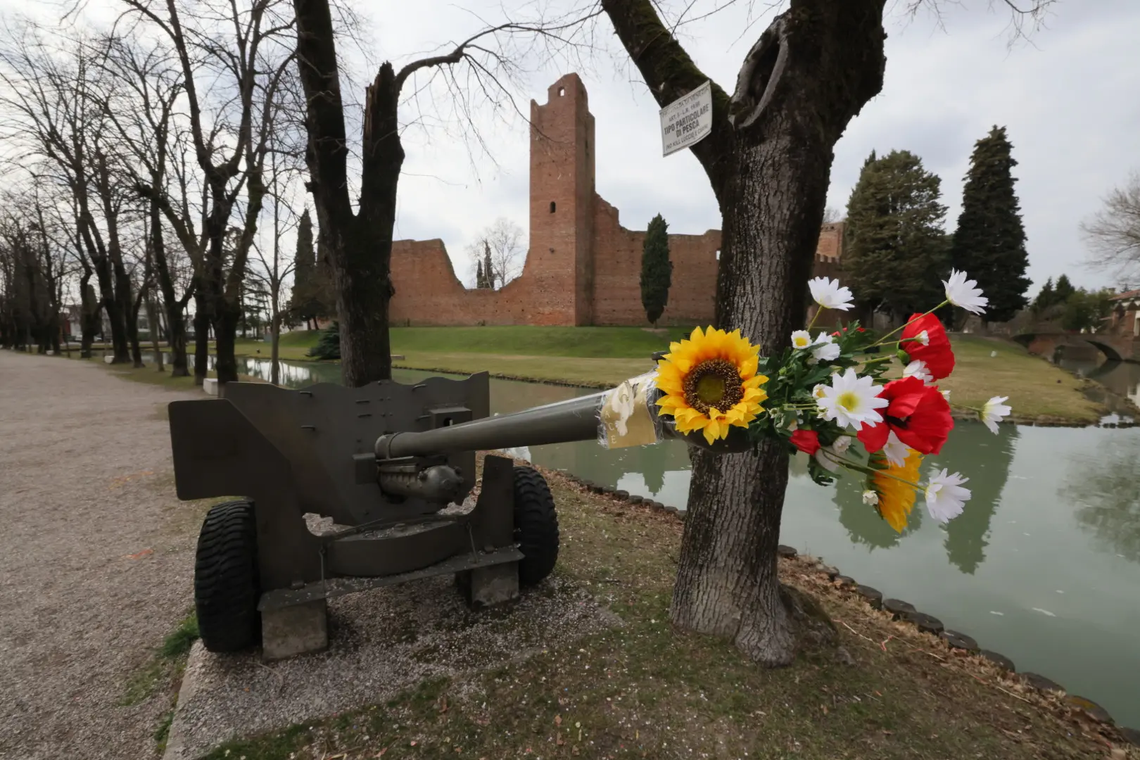 I fiori nella bocca del cannone ai giardini della rocca di Noale