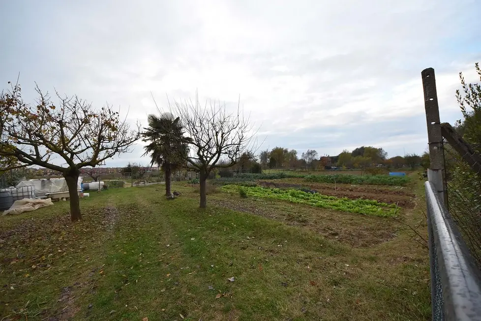 COLUCCI - DINO TOMMASELLA - CAORLE - INCHIESTA "TERME DI CAORLE" - L'AREA INTERESSATA AL PROGETTO TERME LUNGO LA VIA TARGHETE - LE CASE ABBANDONATE E GLI ATTUALI ORTI ESISTENTI -