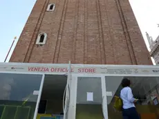 Interpress/M.Tagliapietra Venezia 11.06.2013.- Gabbiotto in Piazza San Marco sotto il campanile prima dello spostamento.