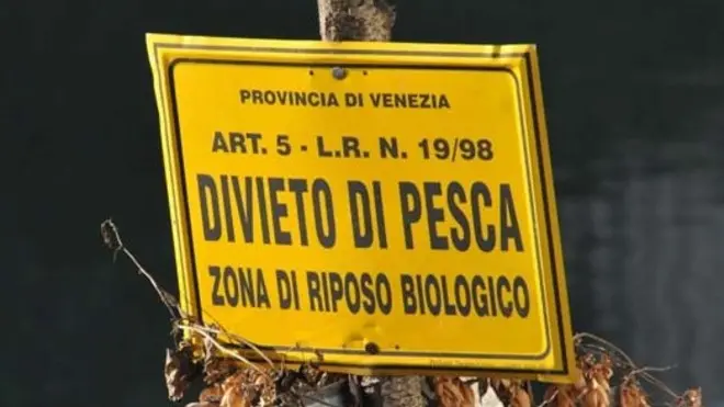 FGAVAGNIN DEPOLO PORTOGRUARO DIVIETO DIVIETO DI PESCA IL LEMENE IN VIA ZAPPETTI CON FANTASIA DIETRO L'ALI'