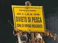 FGAVAGNIN DEPOLO PORTOGRUARO DIVIETO DIVIETO DI PESCA IL LEMENE IN VIA ZAPPETTI CON FANTASIA DIETRO L'ALI'
