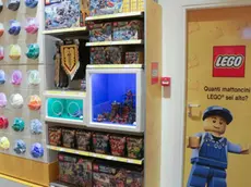 Foto Agenzia Candussi/ Scattolin/ Marghera, Nave de Vero/ Inaugurazione Store Lego