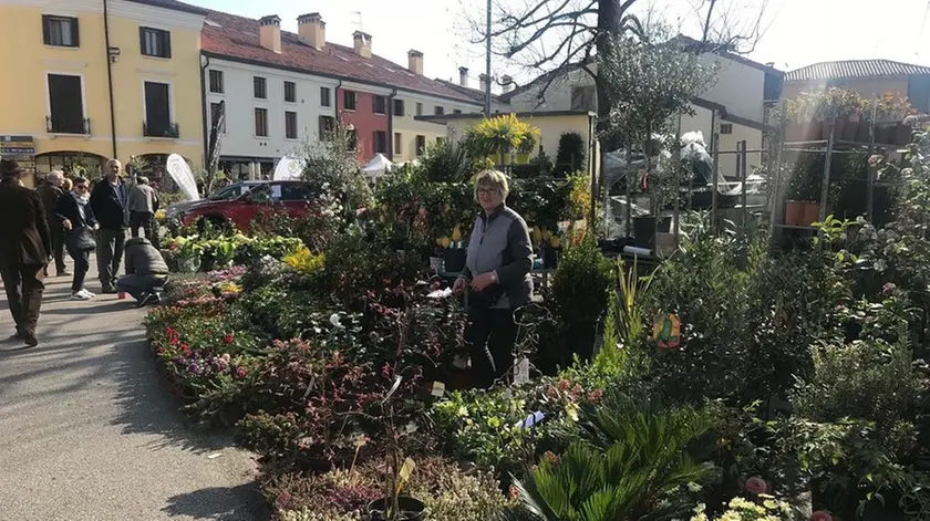 DE POLO - DINO TOMMASELLA - CONCORDIA - FESTA DEI FIORI