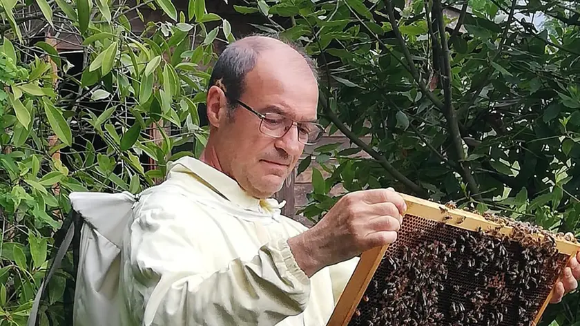 Paolo Basciutti, apicoltore della Apat veneziana in un giardino del centro storico lagunare