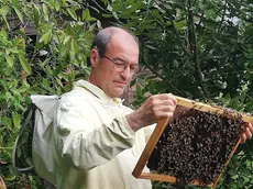 Paolo Basciutti, apicoltore della Apat veneziana in un giardino del centro storico lagunare