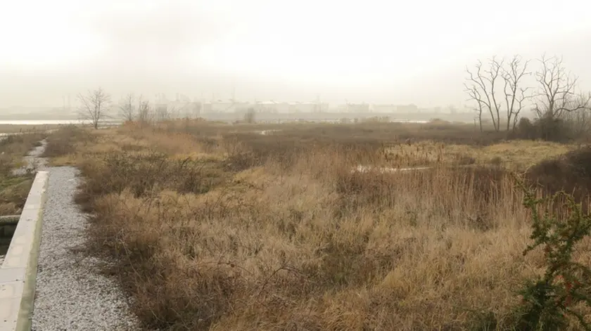 Foto Agenzia Candussi/ Scattolin/ Marghera, area dei Pili