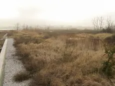 Foto Agenzia Candussi/ Scattolin/ Marghera, area dei Pili