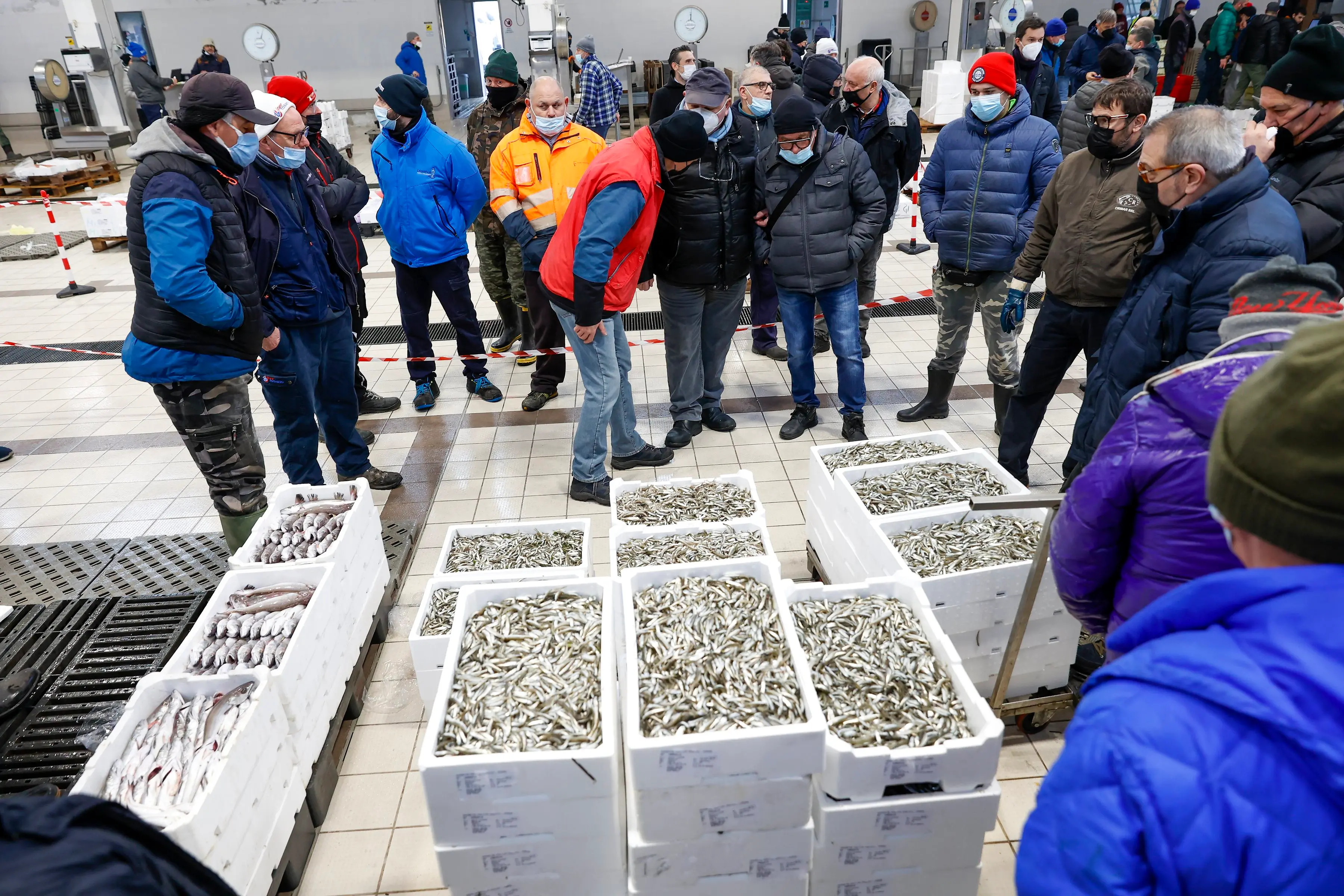 L'asta al mercato ittico (Foto Pòrcile)