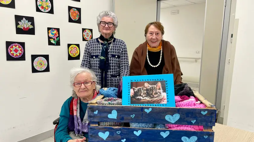 Le coperte realizzate dalle anziane della Rsa per il gattile di San Donà