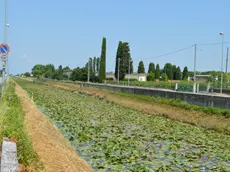 Il canale Grassaga