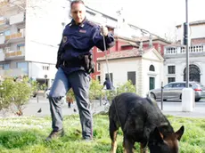 Unità cinofila della polizia controlla la zona del piazzale Donatori di Sangue, Mestre