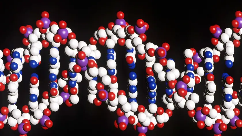 una foto di archivio di analisi sul Dna