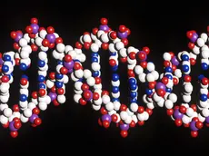 una foto di archivio di analisi sul Dna