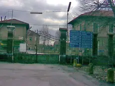LAZZARINI FGAVAGNIN CEGGIA ZUCCHERIFICIO