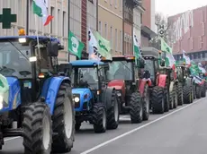 LAZZARINI FGAVAGNI SAN DONA MANIFESTAZIONE IN PIAZZA - Il corteo dei trattori ieri a San Dona'