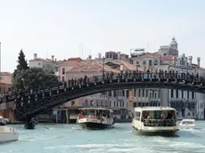 Tantucci Venezia Interpress M.Tagliapietra 10.04.2012.- Degrado Ponte dell'Accademia.