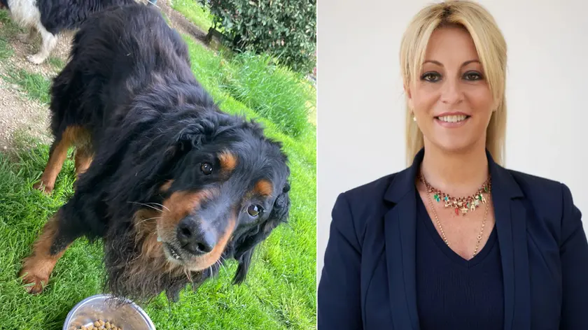 I cani in attesa del loro padrone e la sindaca Silvia Susanna