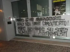 Gli striscioni appesi nella notte