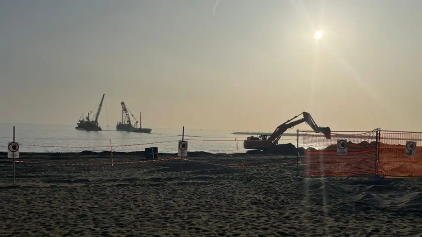 Le ruspe in azione