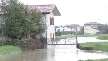 Così si presentava ieri pomeriggio il Marzenego a Maerne di Martellago