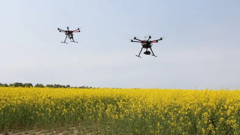 Droni al lavoro sul campo di colza