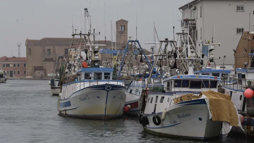 A Chioggia pescatori multate per le maglie delle reti da pesca