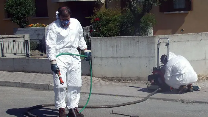 BORIN SANTA LUCIA DI PIAVE DISINFESTAZIONE BLATTE VIA DE GASPERI santa lucia disinfestazione