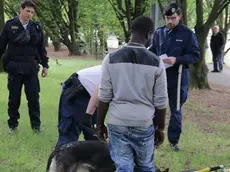 Foto Agenzia Candussi/ Chiarin/ Mestre, parco della Bissuola / Controlli della Polizia anti droga