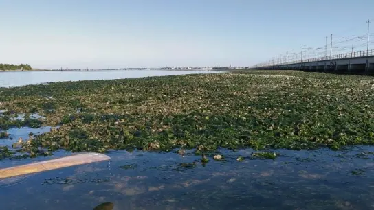 Prateria di Ulva davanti a San Giuliano