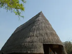 MORSEGO FGAVAGNIN CAORLE DEMOLIZIONE CASONI A FALCONERA