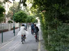 Foto Agenzia Candussi/ Chiarin/ Mestre, via Dante/ Pista ciclabile