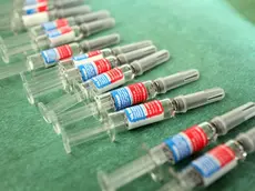 CARRAI - CONF STAMPA VACCINAZIONE INFLUENZA