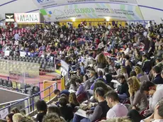 Foto Agenzia Candussi/ Furlan/ Mestre, stadio Taliercio/ Concorso pubblico per infermieri