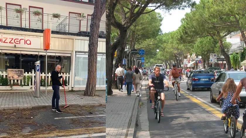 A sinistra pulizia degli aghi in via Bafile, dopo il maltempo. A destra la galleria di chiome che offre ombra durante le passeggiate