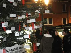 Interpress/Mazzega Piovato Venezia, 23.12.2013.- Campo San Geremia, albero di Natale con i desideri dei migranti..-