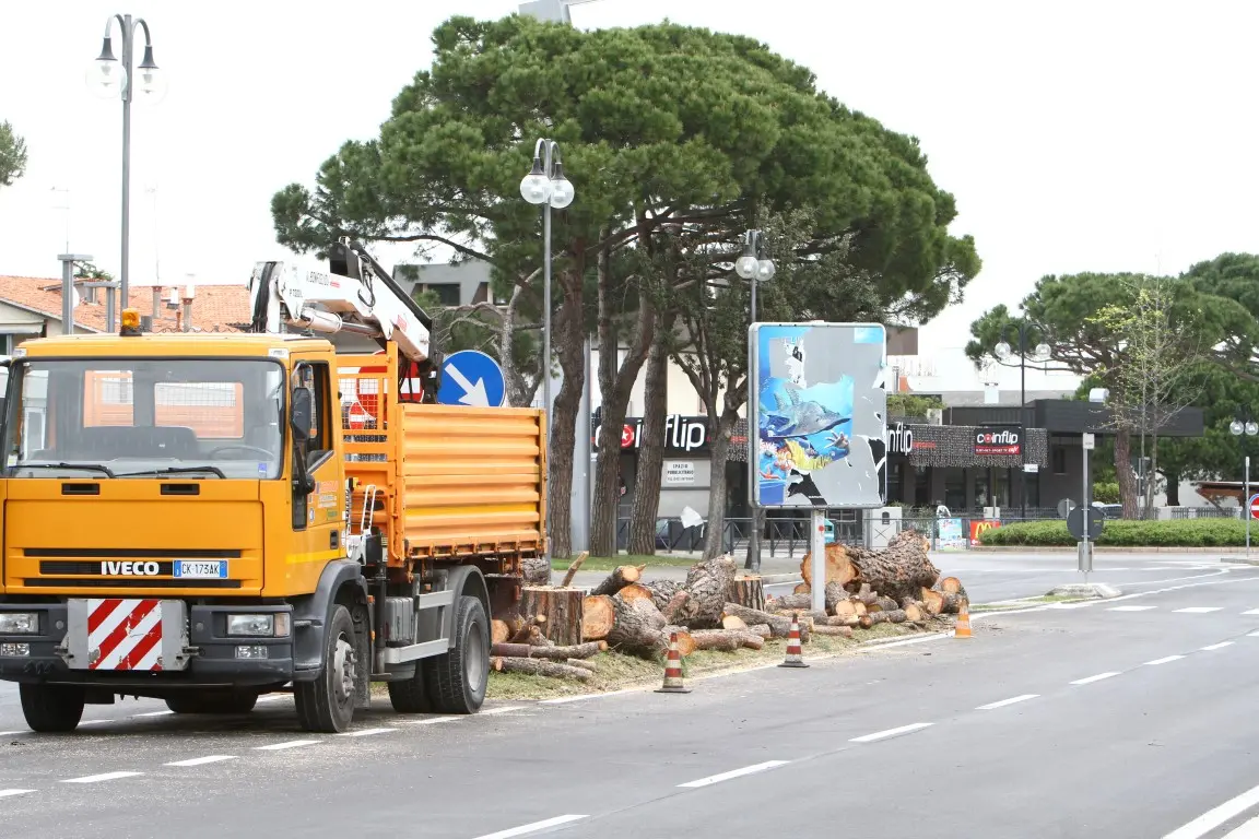 JESOLO LIDO - DINO TOMMASELLA -COLUCCI - GENTE INCATENATA CONTRO IL TAGLIO DEGLI ALBERI