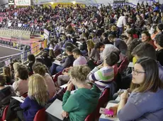 Foto Agenzia Candussi/ Furlan/ Mestre, stadio Taliercio/ Concorso pubblico per infermieri