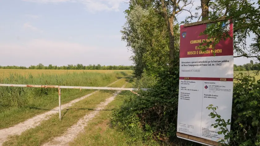 GIORNALISTA: Baschieri AGENZIA FOTO: Candussi LUOGO: Dese, via Ca' Colombara DESCRIZIONE: nuovi ettari di parco che verranno aggiunti al bosco di Mestre