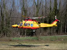 Cipolla Montebelluna via 18 giugno incidente ciclista uscita autonoma