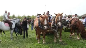 Cresce la passione per i cavalli: il primo tratto dell’ippovia è già stato realizzato nel Bosco Zaher