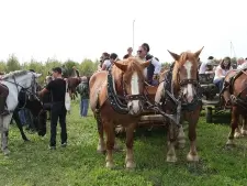 Cresce la passione per i cavalli: il primo tratto dell’ippovia è già stato realizzato nel Bosco Zaher