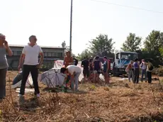 Agenzia Candussi. Protesta contro il taglio degli alberi per cantiere Vallenari Bis, organizzata da Coordinamento studenti Medi e Comitato viva Mestre. Presso via delle Messi, Mestre.