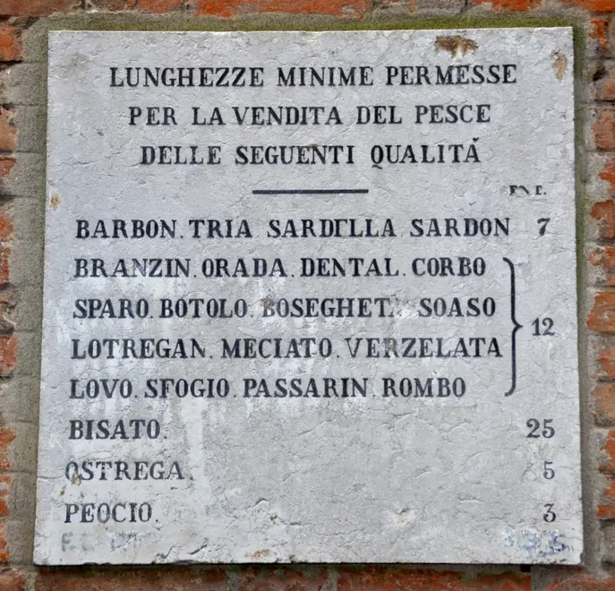 Interpress/Mazzega Venezia, 03.12.2016.- i mercato del pesce di Rialto, lunghezze minime permesse per la vendita del pesce